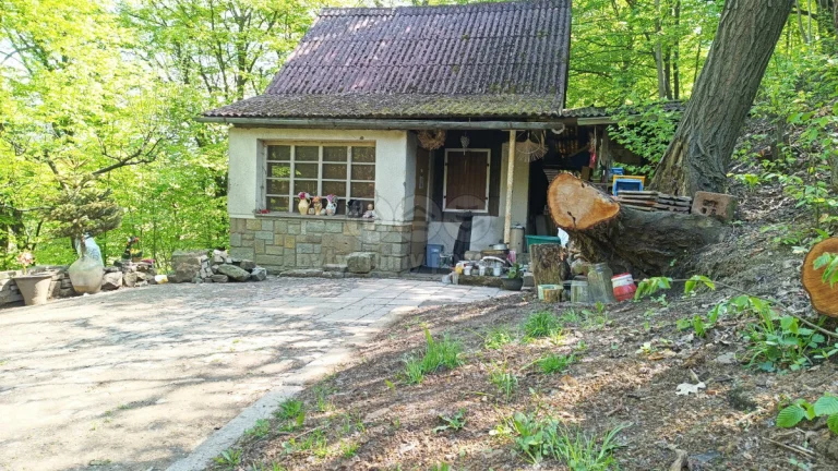 Prodej chaty, 25 m², Rychnov nad Kněžnou