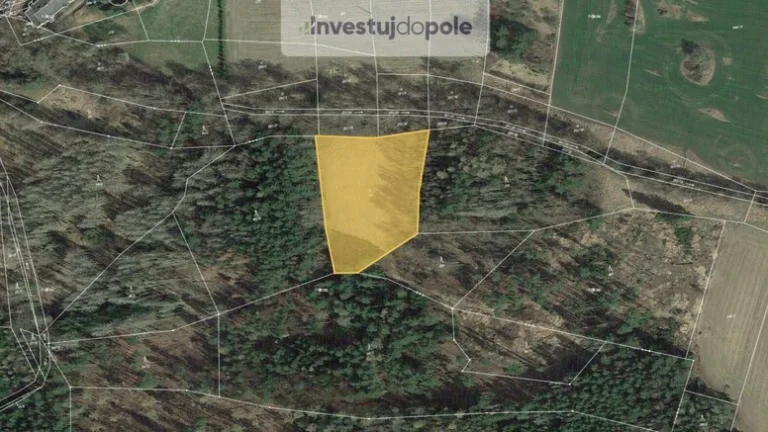Prodej louky v k.ú. Maskovice