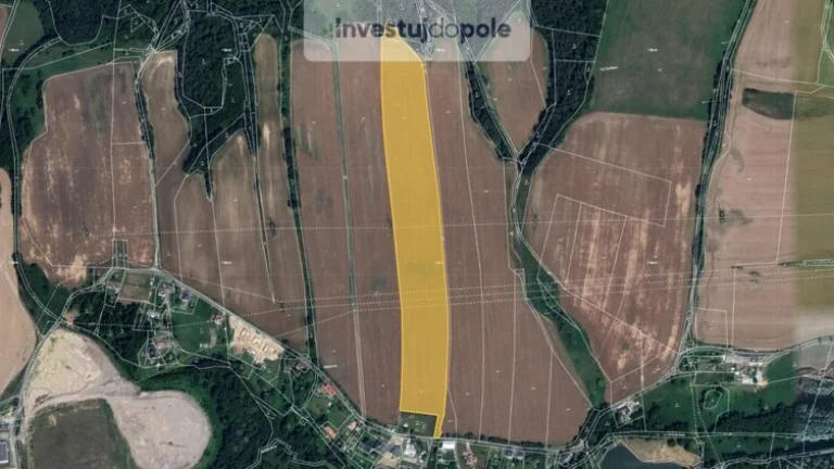 Prodej pole v k.ú. Hamr na Jezeře
