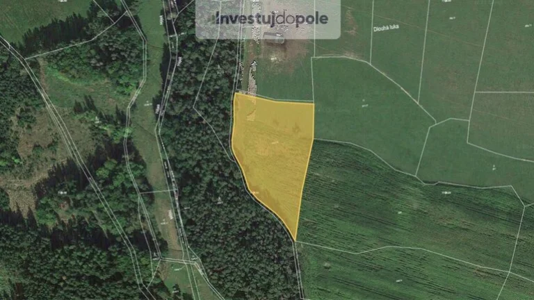 Prodej pole v k.ú. Holkovice