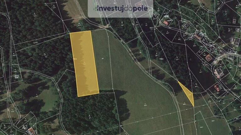 Prodej louky v k.ú. Lučany nad Nisou