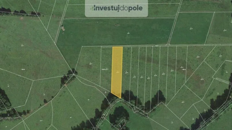 Prodej louky v k.ú. Strašín u Sušice