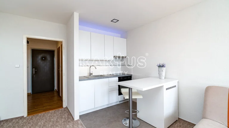 Pronájem bytu 1+kk (27 m2) po rekonstrukci, ul. Náměstí Václ