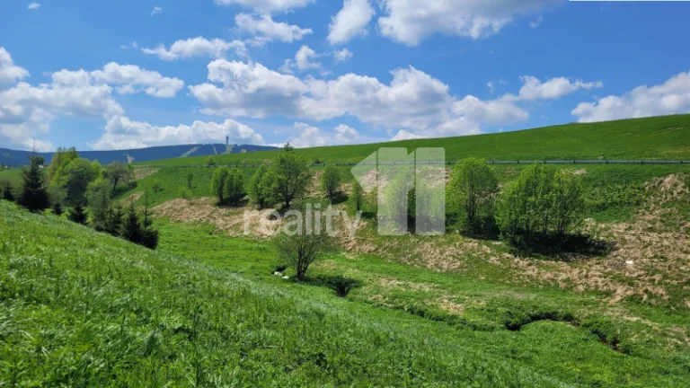 Prodej pozemku, inženýrské sítě na hranici, 2335 m2, kousek