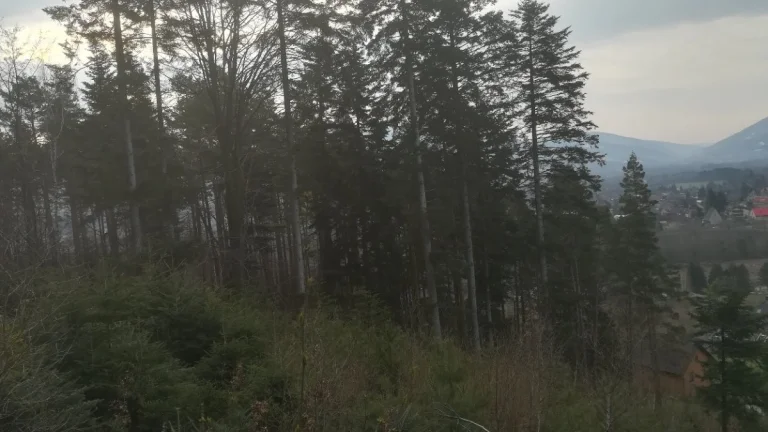 Lesní pozemek 3,4ha, KÚ Frýdlant nad Ostravicí