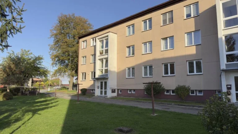 Pronájem bytu 1+kk, Malešov
