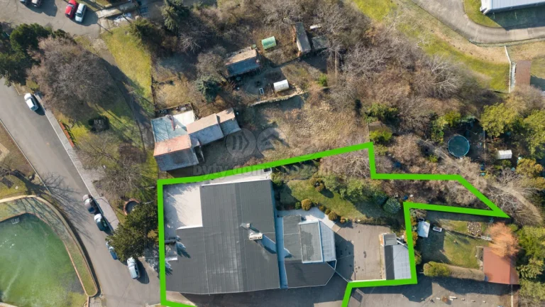Prodej multifunkčního obchodního objektu, 1519 m², Skršín