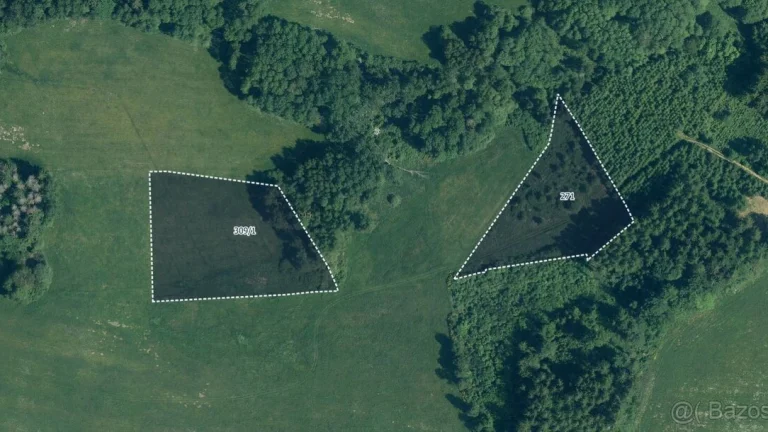 Zemědělská půda, prodej, Bližanovy, Plánice, Klatovy