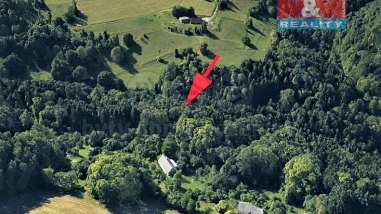 Prodej lesa, 2062 m², Koberovy