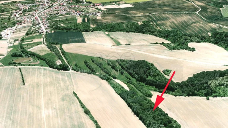 Prodej louky, 1189 m², Jalubí