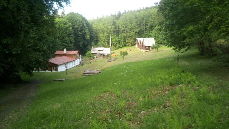 dům, chalupa