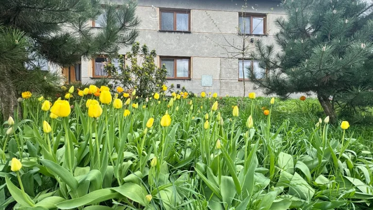 Prodej, rodinný dům, 314 m², Zdounky, Kroměříž