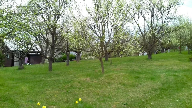 Prodej zahrady v obci Jalubí u Uherského Hradiště