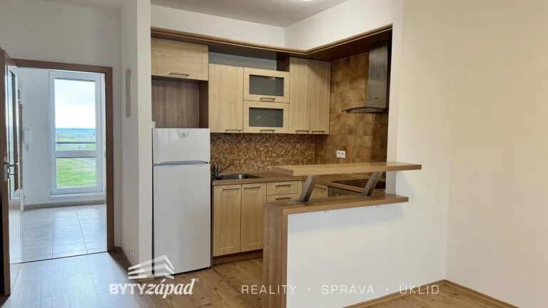 Pronájem byty 2+kk, 64 m2 - Plzeň - Bolevec, ev.č. yMKB8458
