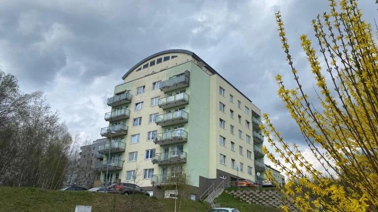 Prodej bytu OV 1+kk, Zelené Údolí, Liberec