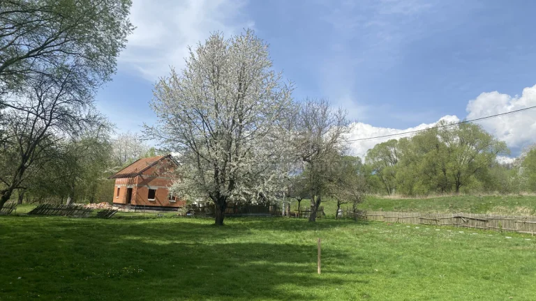 Prodej pozemku k bydlení, 1247 m², Sobotín