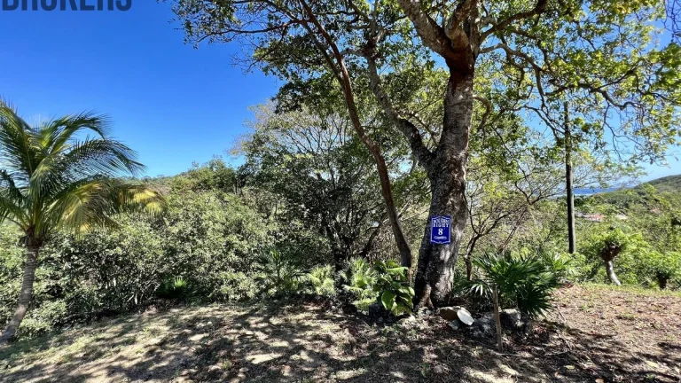 LOT 8 Bodden Bight Estate, Roatan