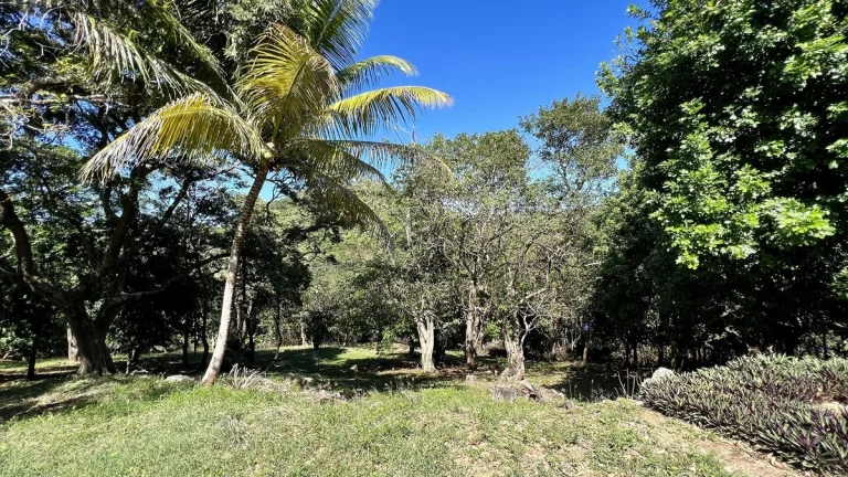 LOT 9 Bodden Bight Estate, Roatan