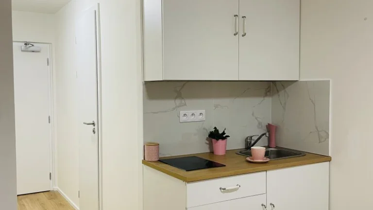 Pronájem, byty/1+kk, 24 m2, Čenětická 2413/1, 14900 Praha, H