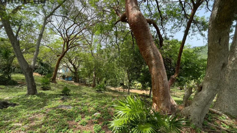 LOT 5 Bodden Bight Estate, Roatan