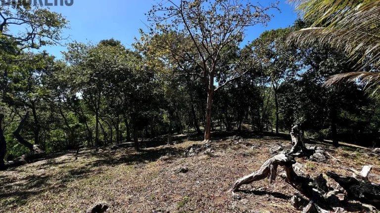 Lot 3 Bodden Bight Estate Jonesville, Roatan