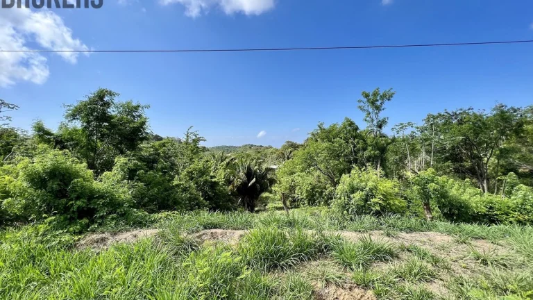 Isery Main Road, Roatan