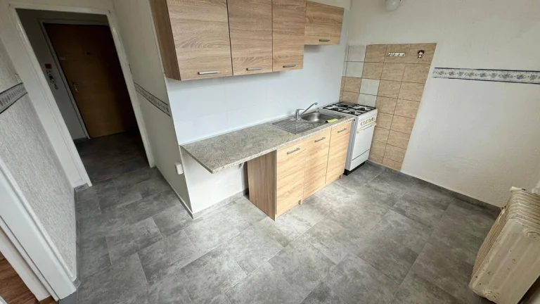 (442) Pronájem, byt 1+1, 36 m, Konečná 649, Chodov