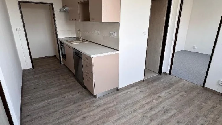 Pronájem bytu 2+1 Za Mlýnem,Přerov