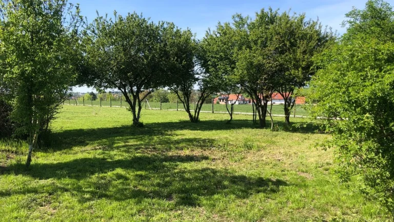 Pronájem zahrady ve Zdibech – 500 m², krásné prostředí