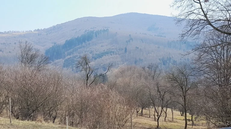 Prodej domu v obci ŽÍTKOVÁ