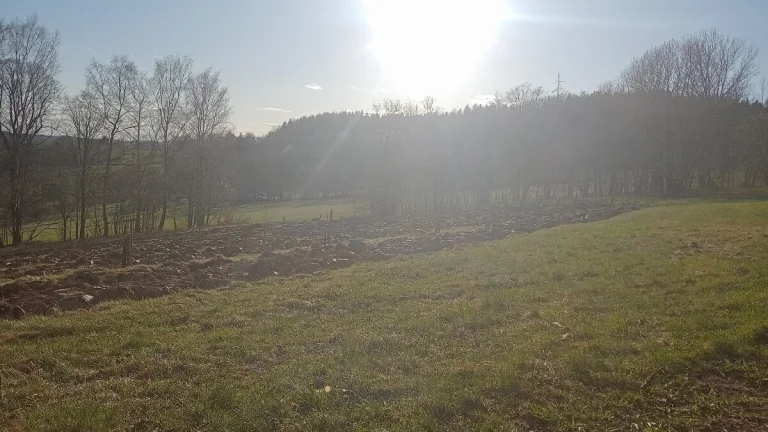 Pozemek k rekreaci v Kořenově 160 Kč/m2