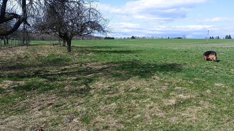 Stavební pozemek , pole