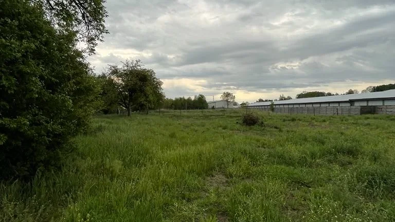 Prodej stavebního pozemku 1285 m² Bílovec