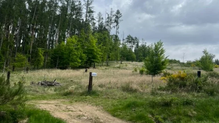 Orlík-Trhovky