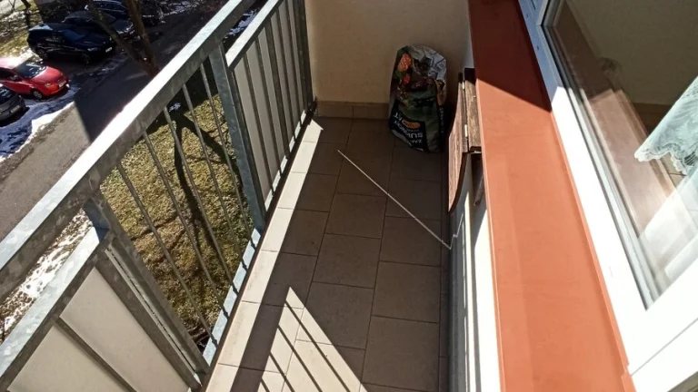 Jílové u Děčína