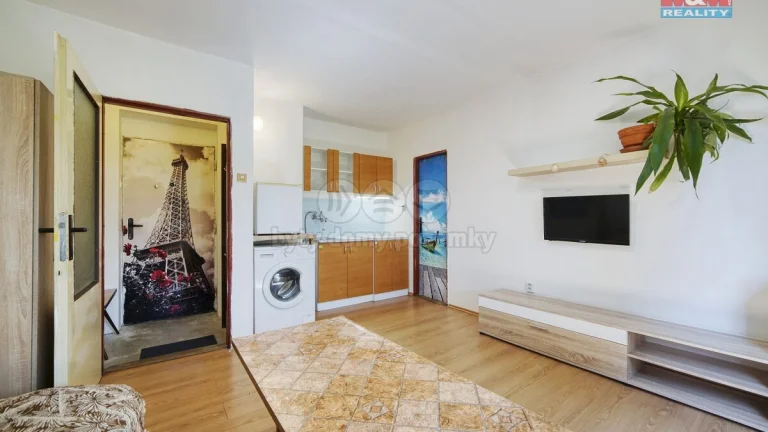 Prodej bytu 1+kk, 21 m², Praskolesy