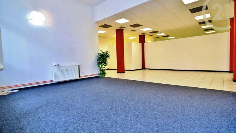 Nabídka pronájmu obchodních prostor 260 m2 ul. Kotlanova,...
