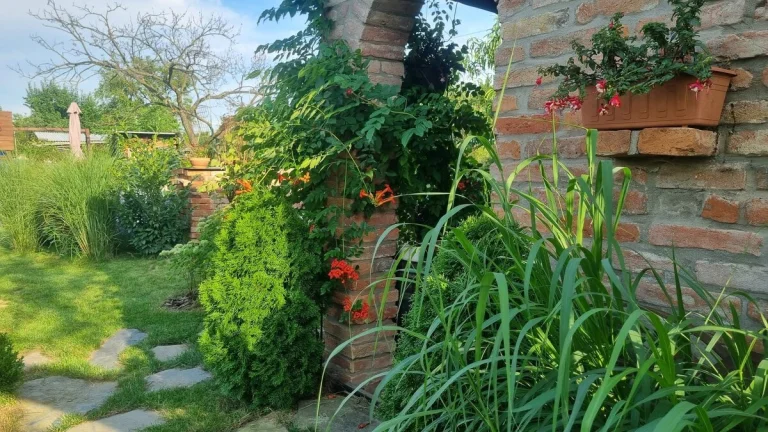 Prodej zahrady 438 m2 - Brno-Bohunice, ev.č. 01749