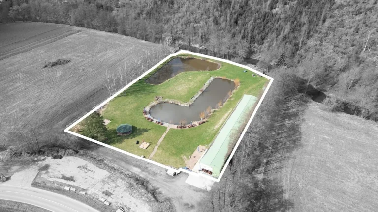 Nedvědice, skladové a výrobní prostory, 19 015 m2 – komerce