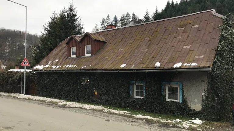 Prodej RD / chalupy v Oskavě