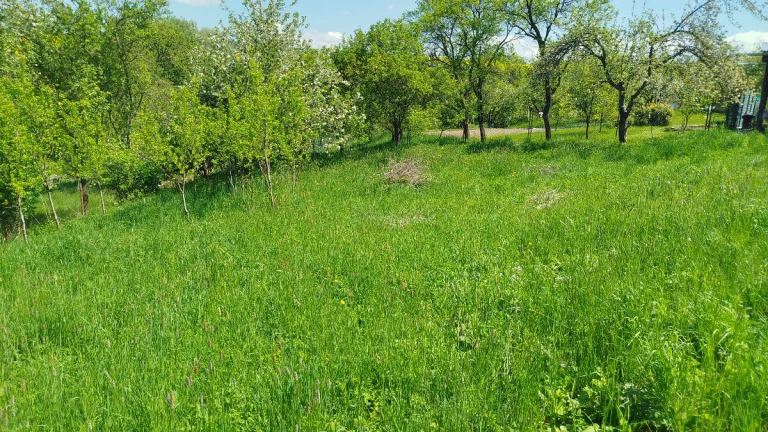 Stavební pozemek v čisté přírodě Lubná u Kroměříže 842 m²