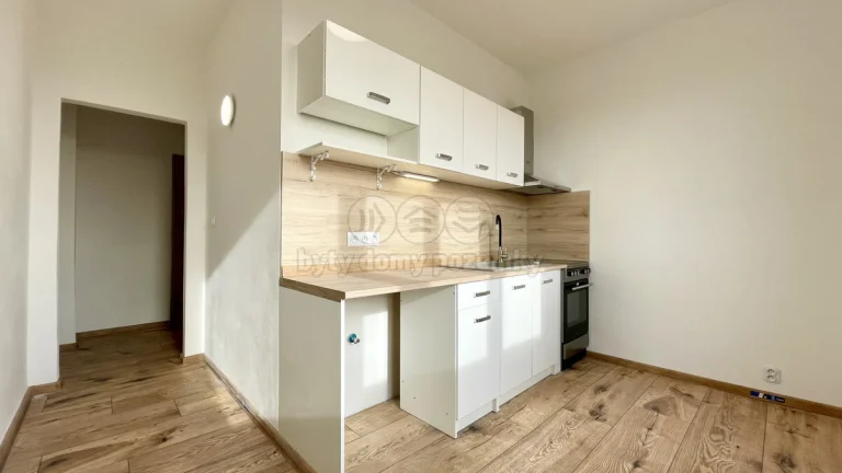 Pronájem bytu 1+1, 38 m², Habartov, ul. Raisova