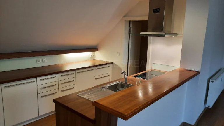 OV 4+kk 159 m² s garáží, Brno, ul.Cejl