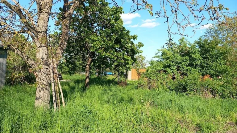 Prodej stavebního pozemku 930 m² - Tuřany, Brno