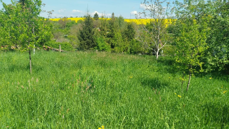 Prodej stavebního pozemku 842 m² Lubná u Kroměříže
