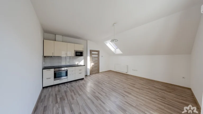 Pronájem bytu 1+1 42 m² s možností parkovacího místa, ulice