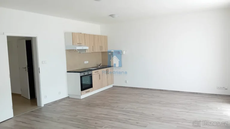 Pronájem bytu 1+kk, ulice Rejskova, 54 m2