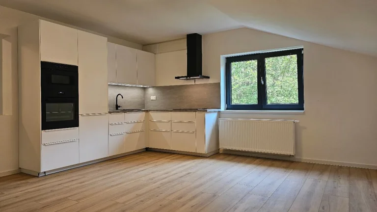 3+kk 99m², Havraní, Brno - Černovice