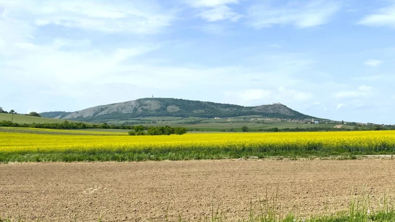 Pavlov u Dolních Věstonic, pozemky pro bydlení, 1.132 m2, čá