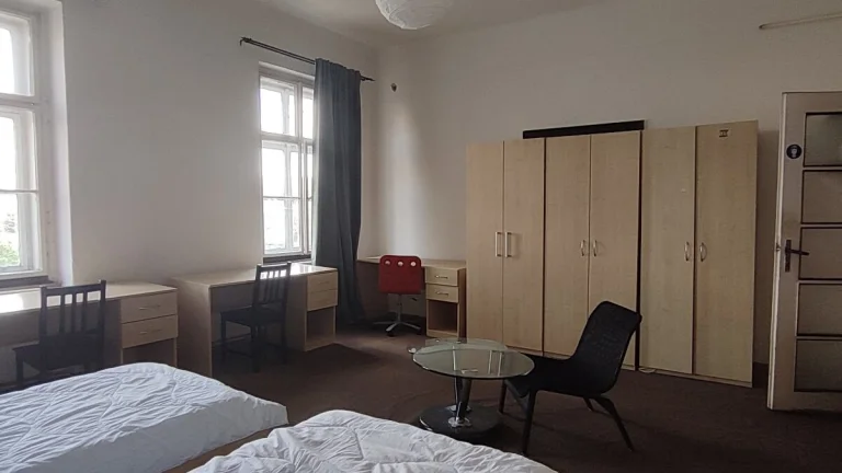 Pronájem pokoje, ulice Veveří, centrum, 30 m2